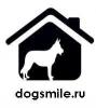 Аватар для dogsmile.ru